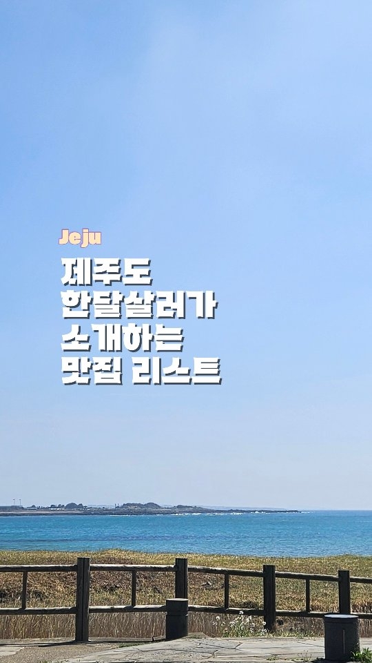 뇽뇽 | 에어비앤비 숙소 여행 핫플, 제주 베지스 (Jeju Veggie's)