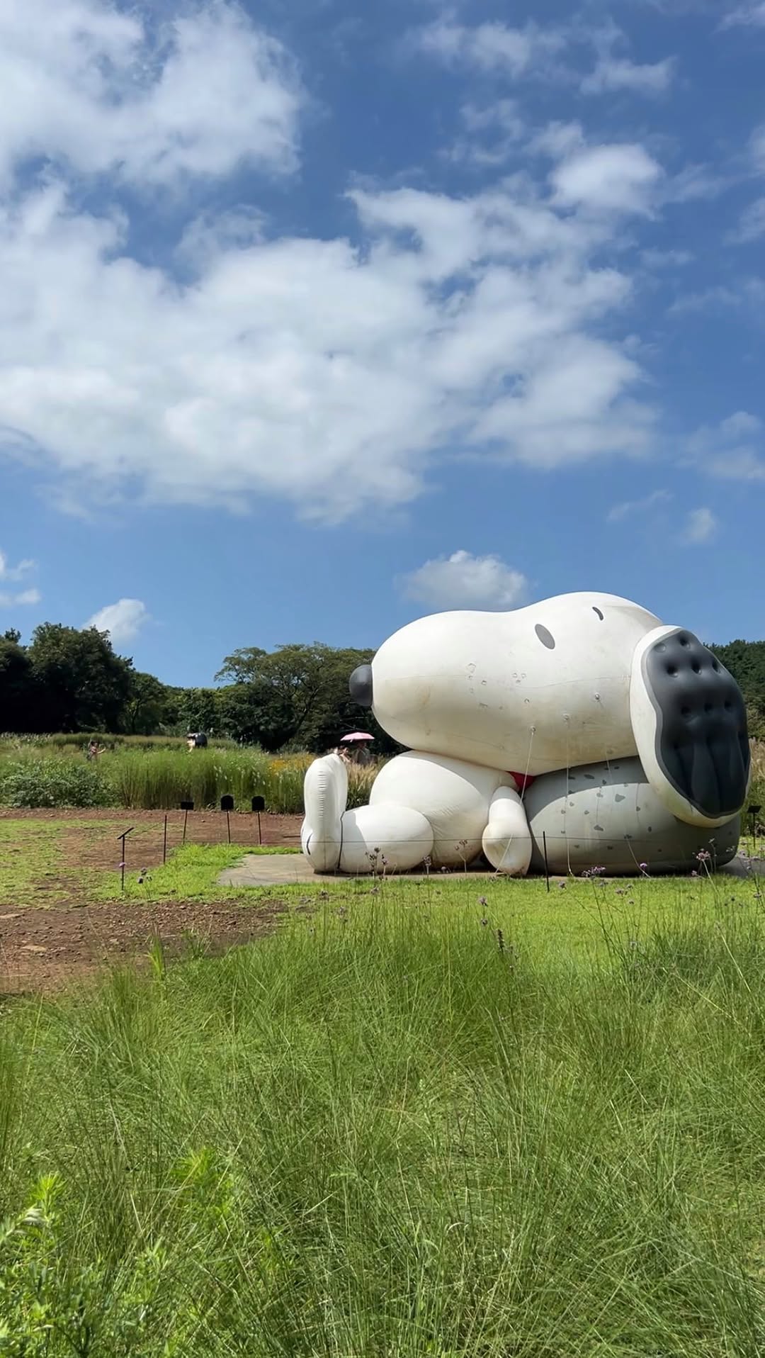 Katie Hui, Snoopy Garden