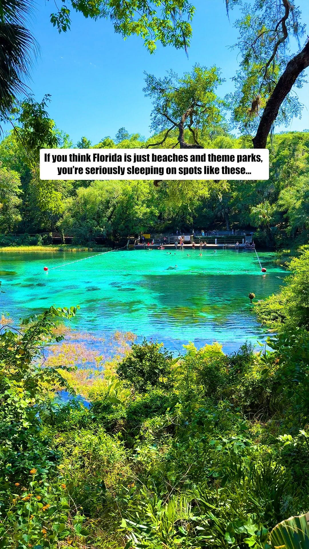 Codie N Drew | Food, Travel & Hidden Gems, Silver Springs State Park