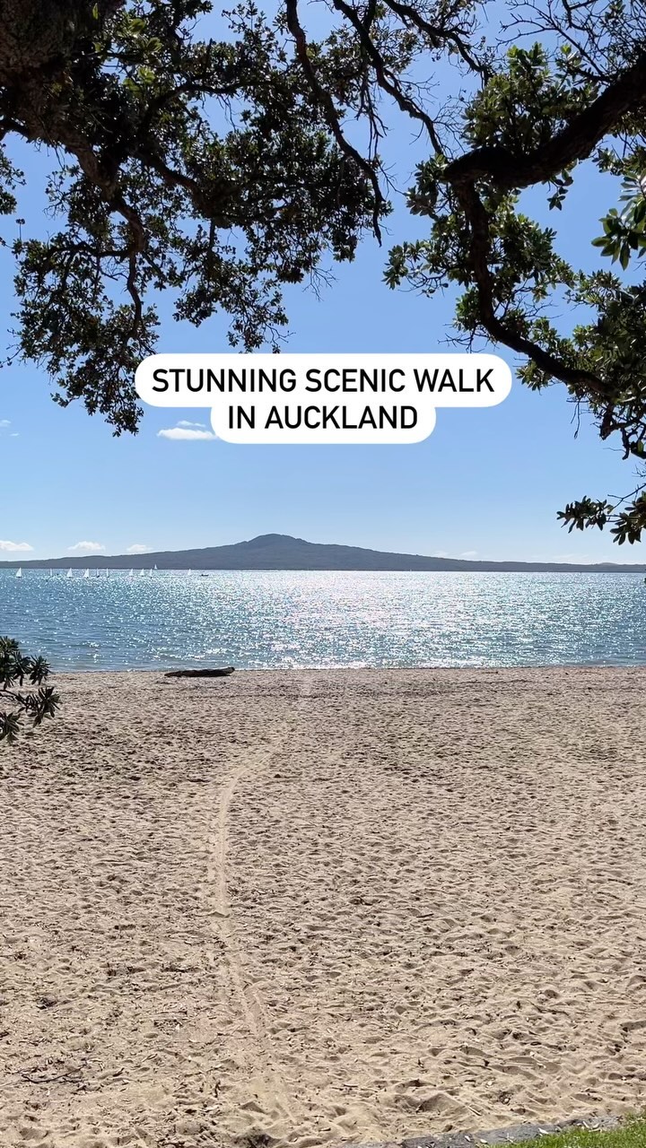 Auckland, New Zealand, Auckland