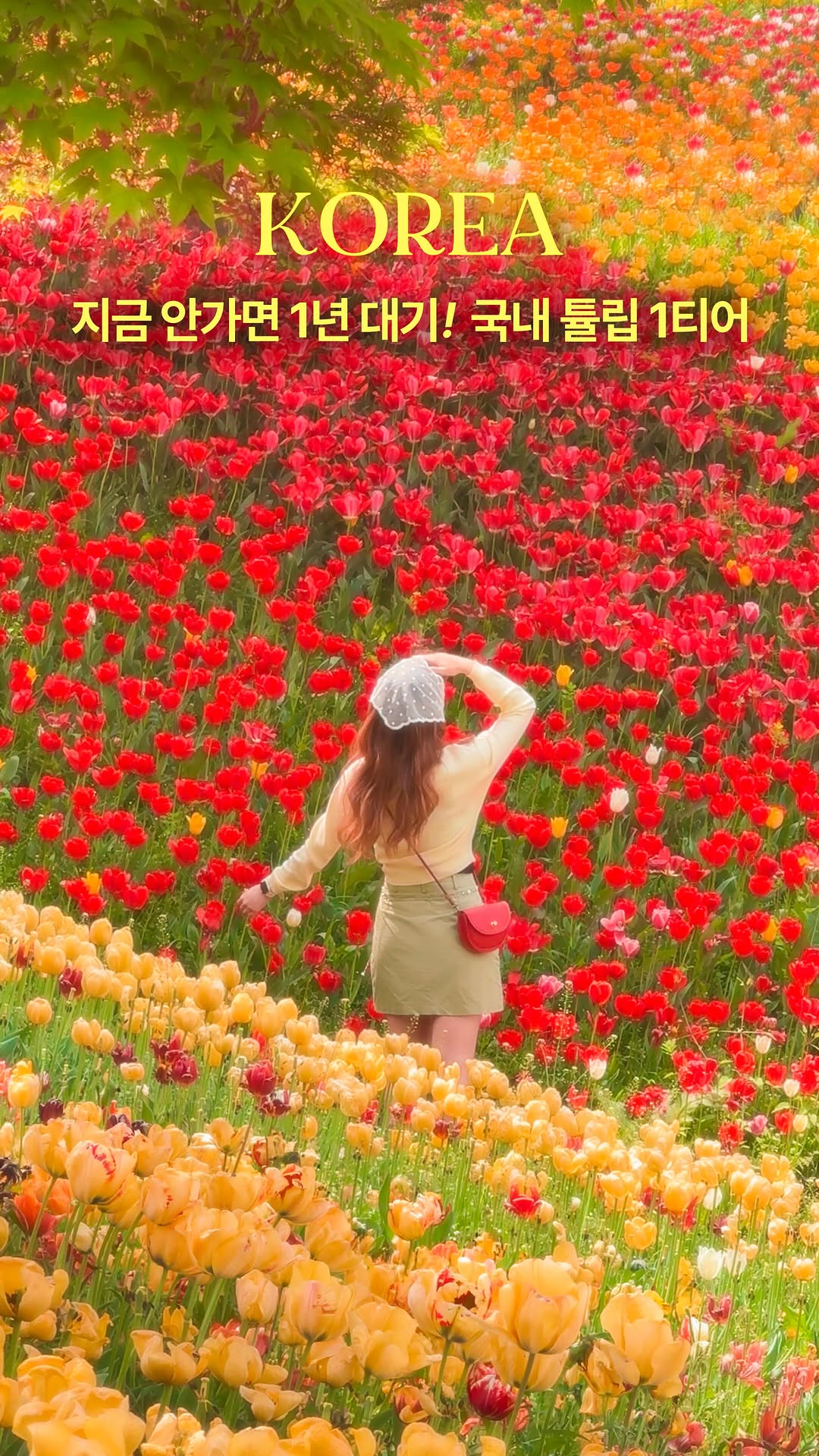 훵 | 돈 없는 여행 중독자✈️, Onyang Hot Spring Land