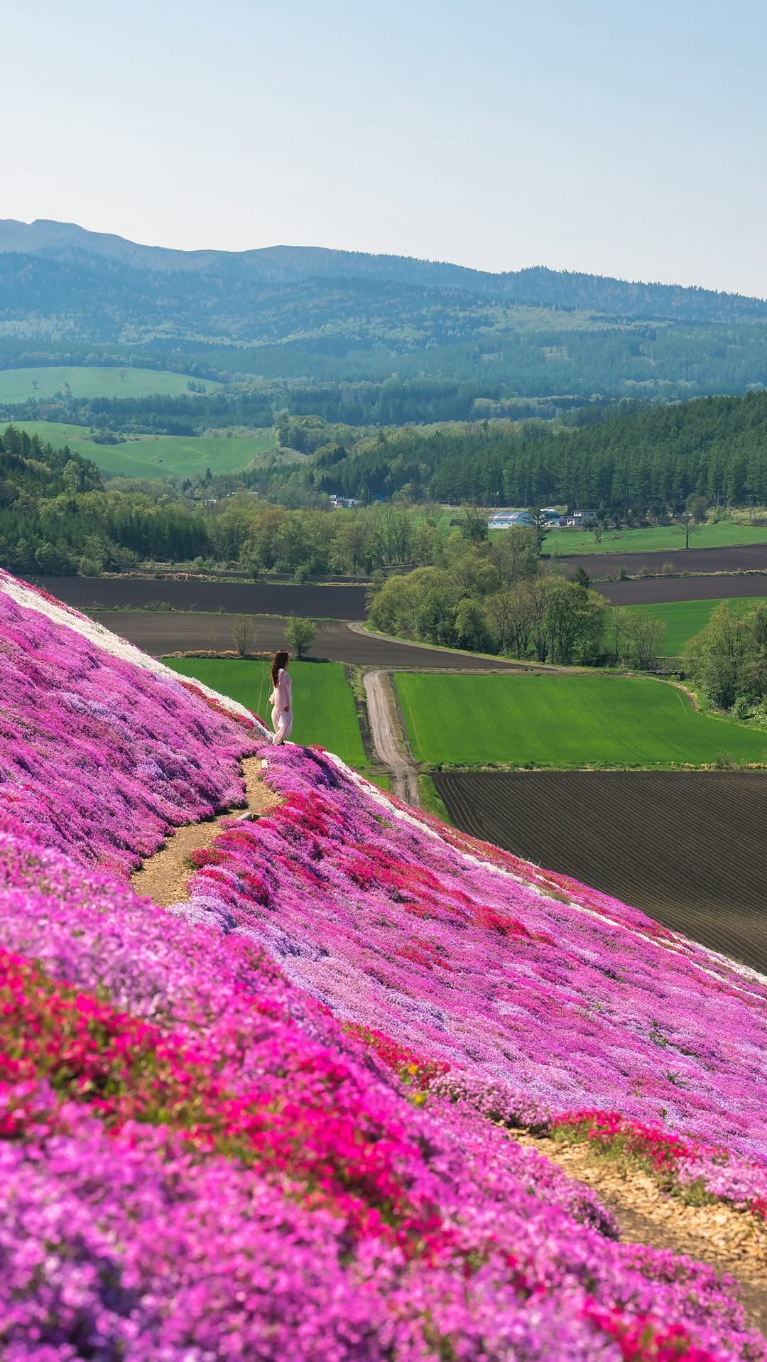 Kyoko  Ueda / Japan Travel, Higashimokoto Shibazakura Park
