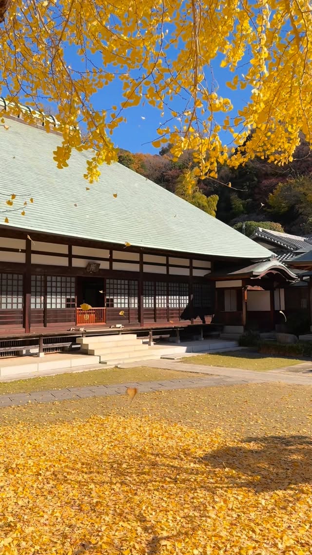 まっちゃ, Jomyo-ji