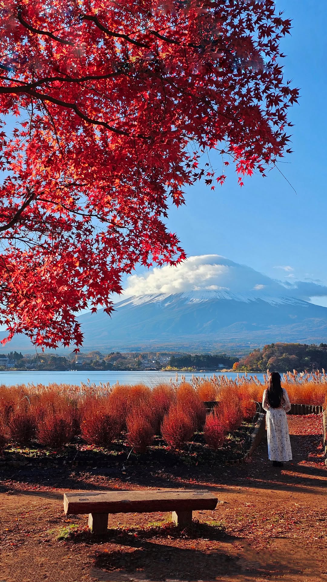 Yurie · Scenic Escapes, Oishi Park