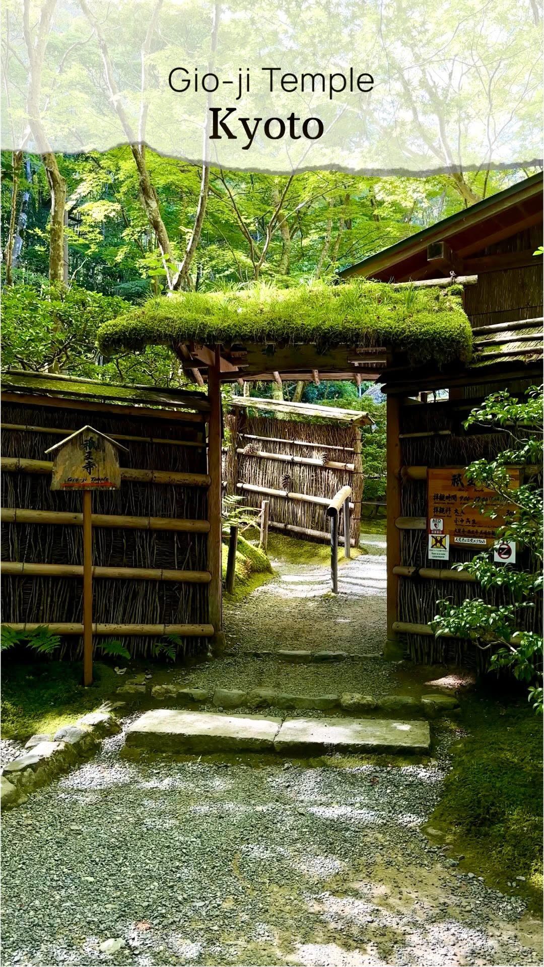 anastasiia ✈ world travel, Arashiyama Bamboo Forest