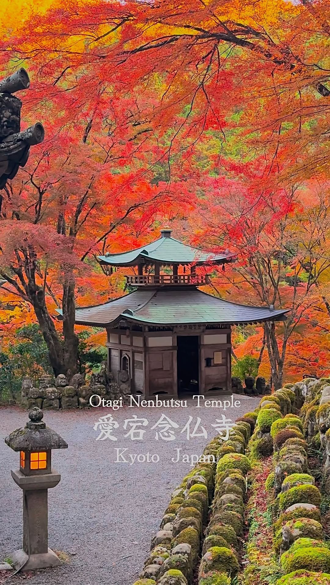 まっちゃ, Arashiyama