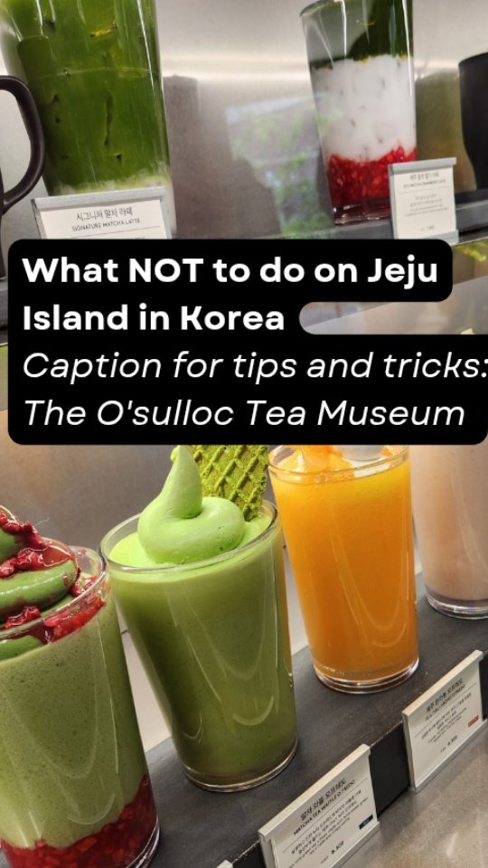 Exploring with Jenna Lee Kim | Writer, Advisor, Advocate 🇰🇷🇺🇸, Osulloc Tea Museum