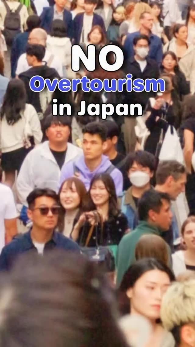 Tours in Japan - TOMOGO!, Akihabara Electric Town