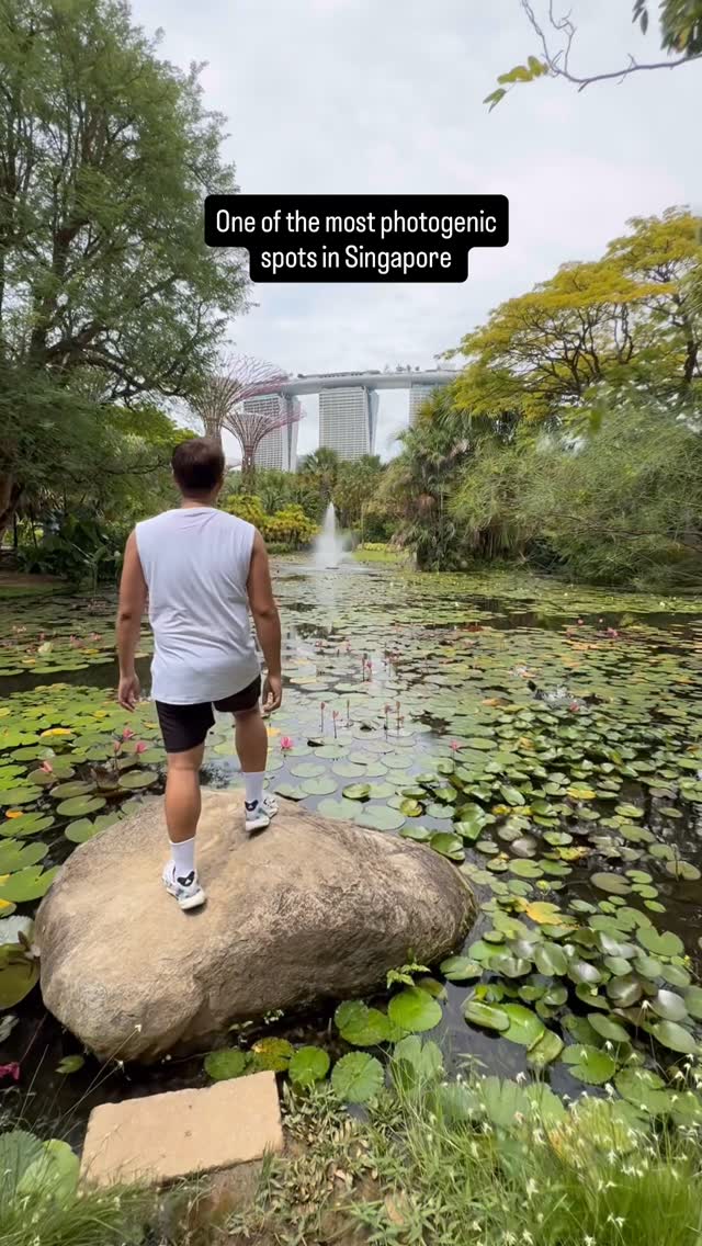 Happy Teosday, Gardens by the Bay