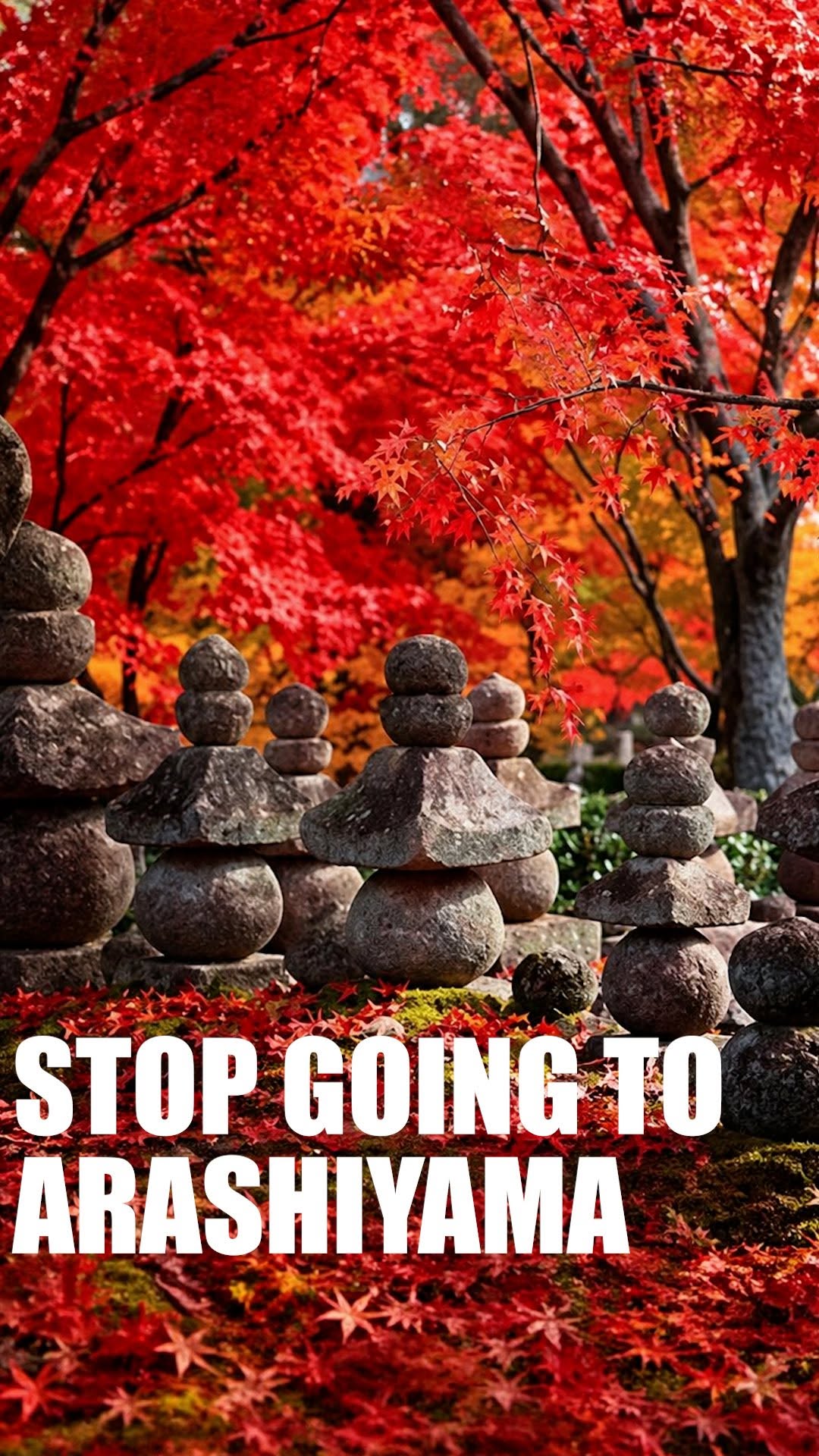Tatsu｜Kyoto Travel Tips, Arashiyama Bamboo Forest