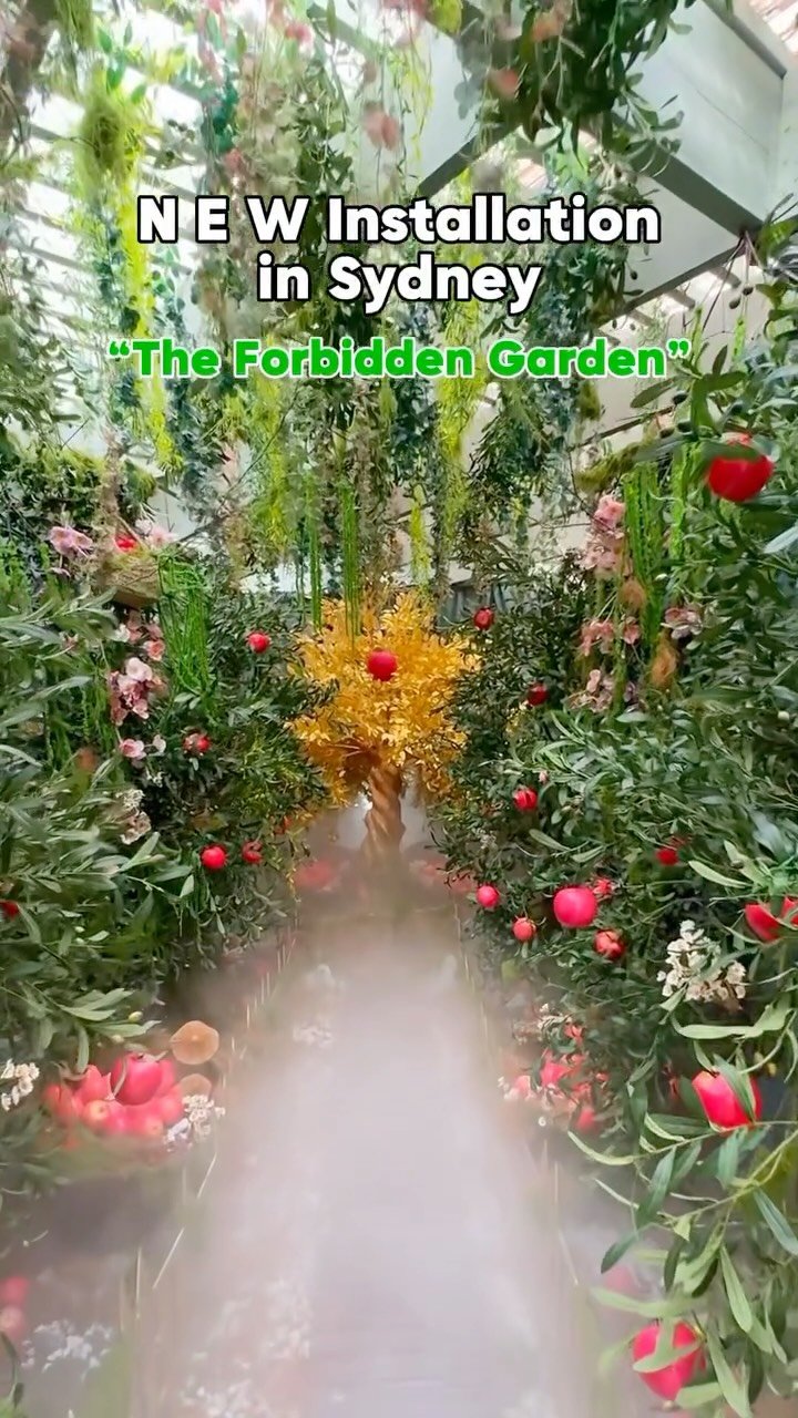 Elly's Life in Sydney🇦🇺, Wendy Whiteley's Secret Garden