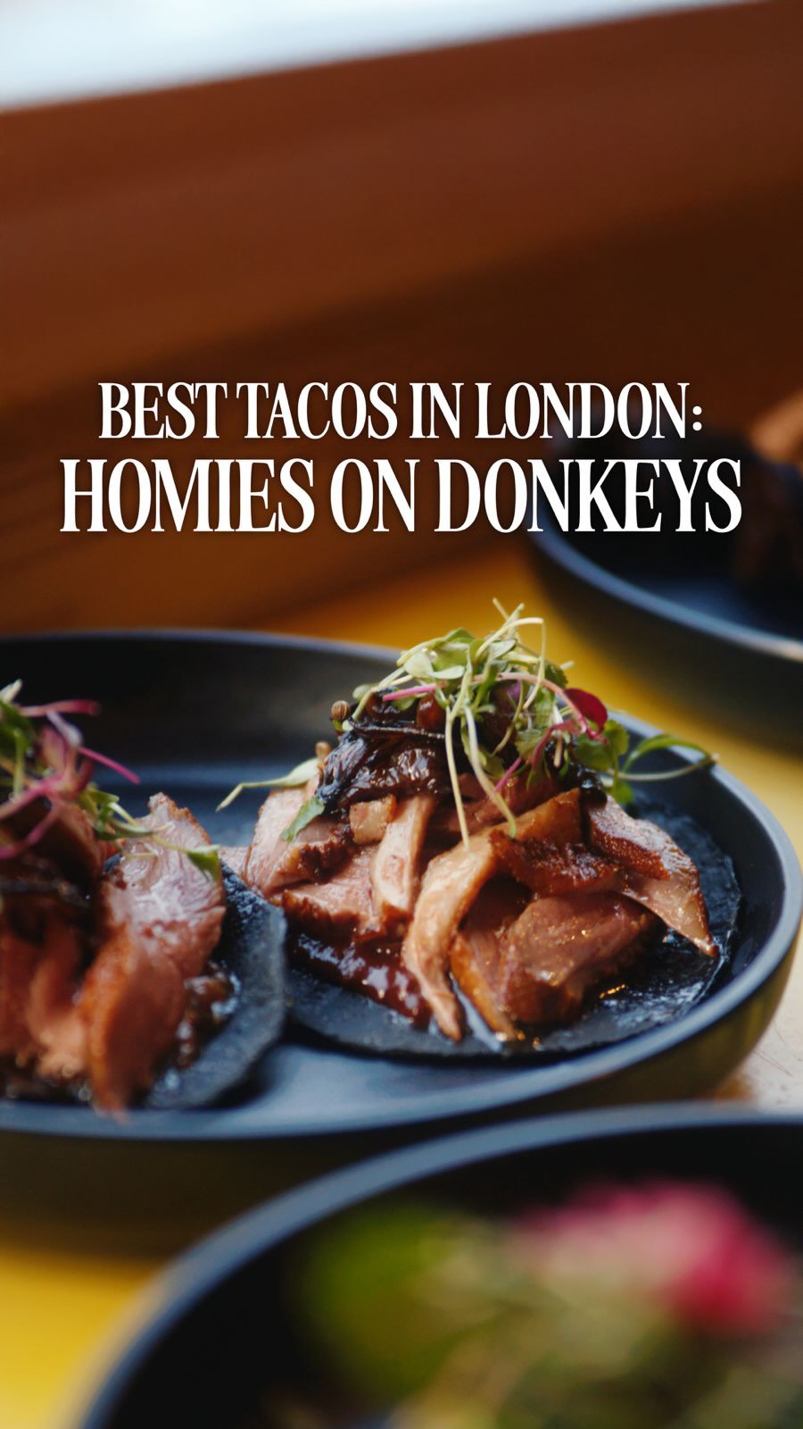TOPJAW, Homies On Donkeys