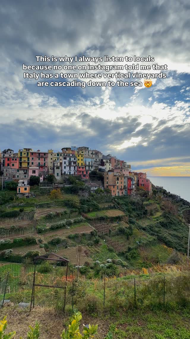 𝐃𝐫𝐢𝐬𝐡𝐭𝐢 | Road Trips & Unique Places, Manarola