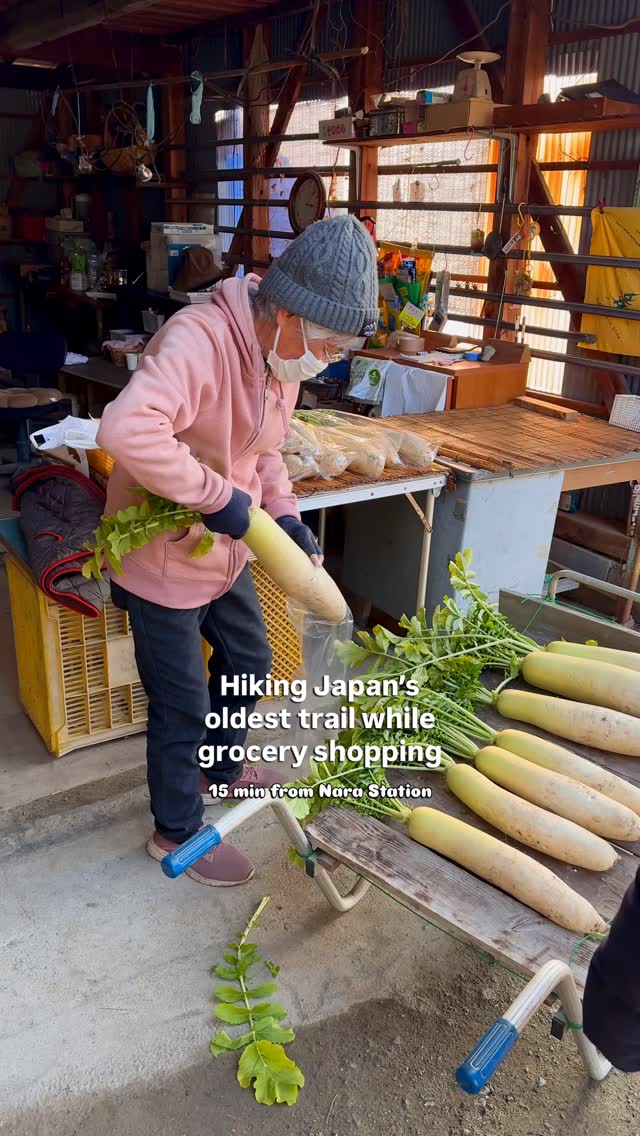 Minami Kristina | Japan Slow Travel, Nara Station