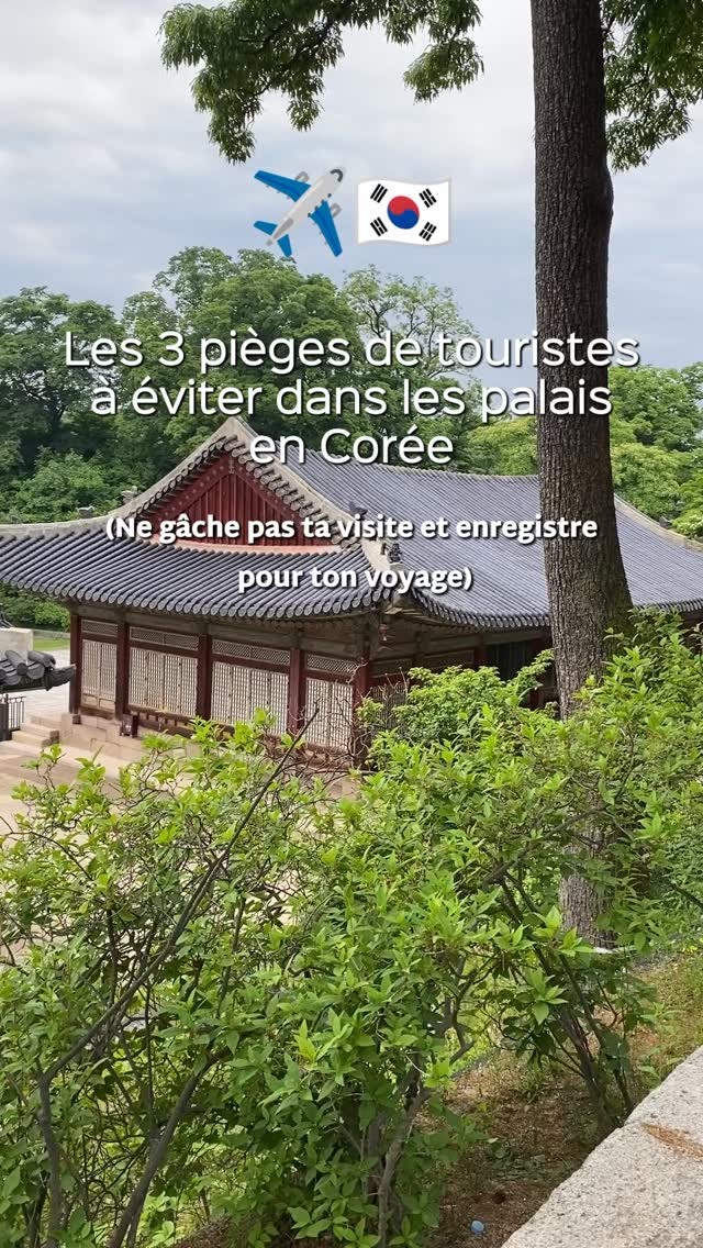 Mikey | Voyage en Corée 🇰🇷, Gyeongbokgung Palace