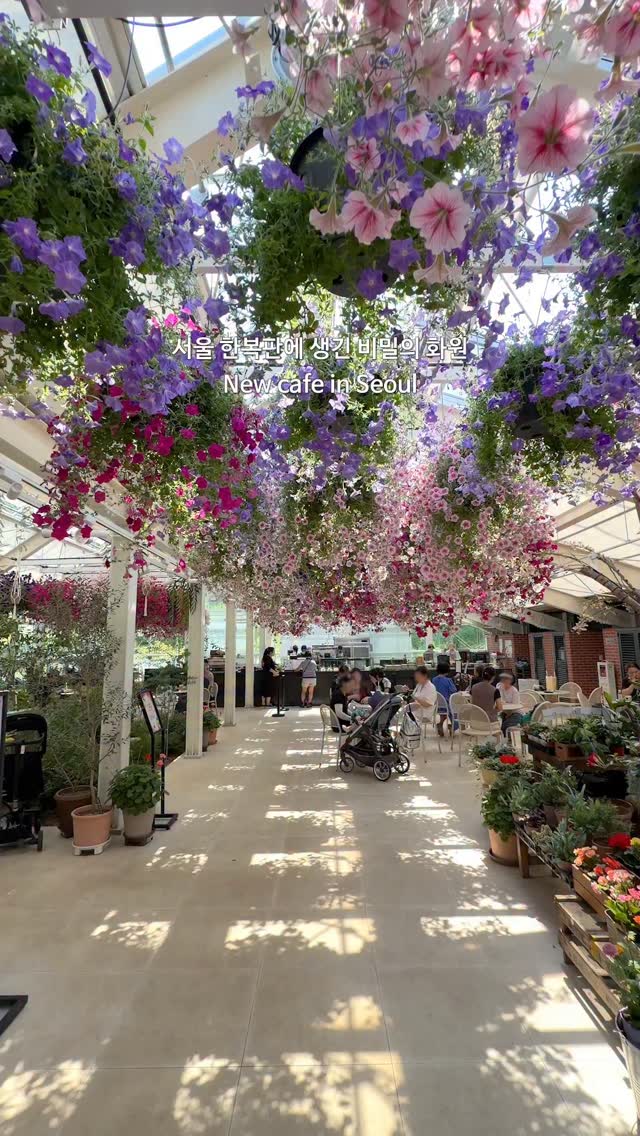 가보자곰, Buramsan Butterfly Garden