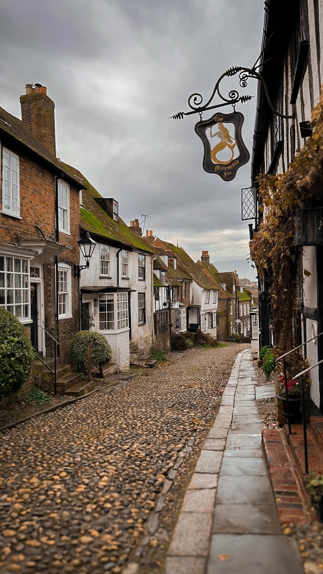 Lily, Mermaid Street