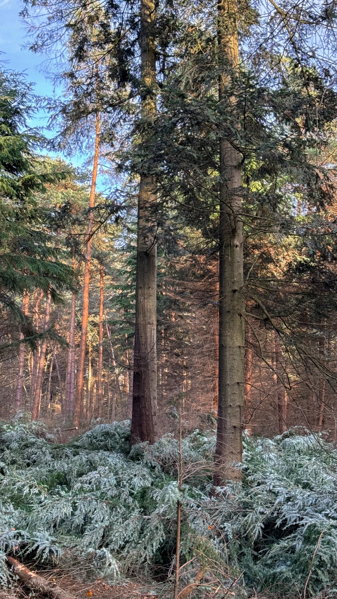 Thijs | Buiten Uitjes, Stadspark Valkenberg