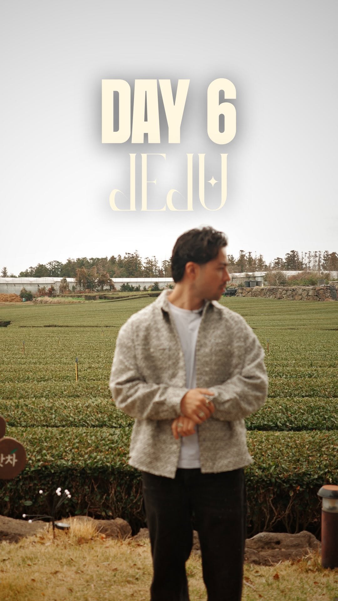Zai • Oishi Mate, Osulloc Green Tea Field