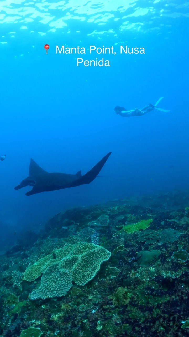 Bali & Nusa Penida Tour, Penida Island