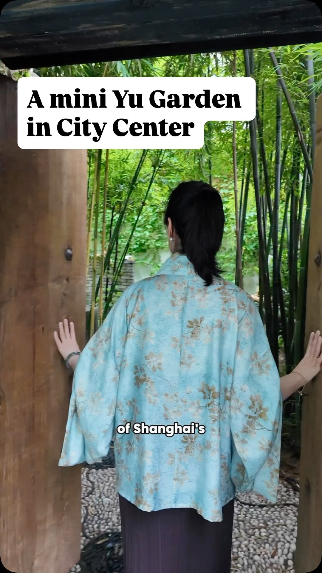 Winter-China Local Guide, Yu Garden