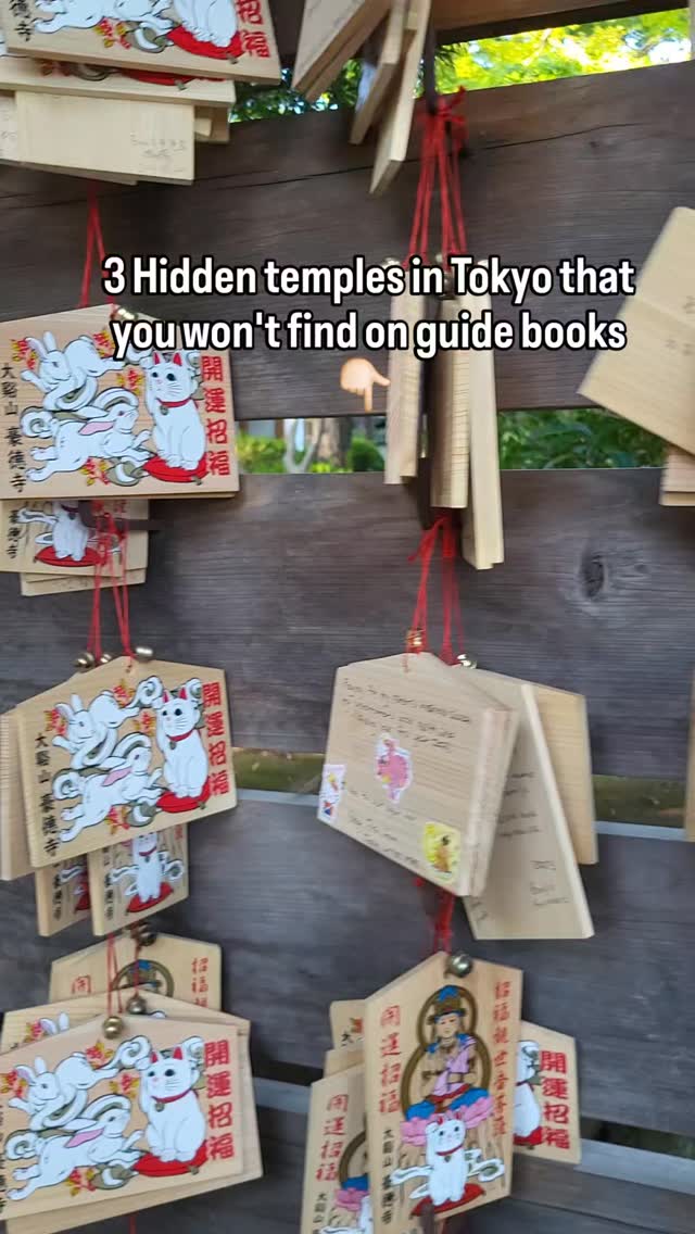 Little B in Japan | Japan hidden gems and travel fun facts 🇯🇵, Gōtokuji Temple