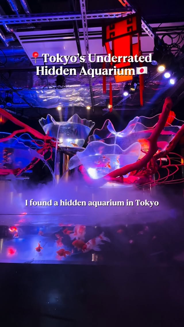 JAPAN HIDDEN SPOT EVERYDAY, Tokyo Sea Life Park