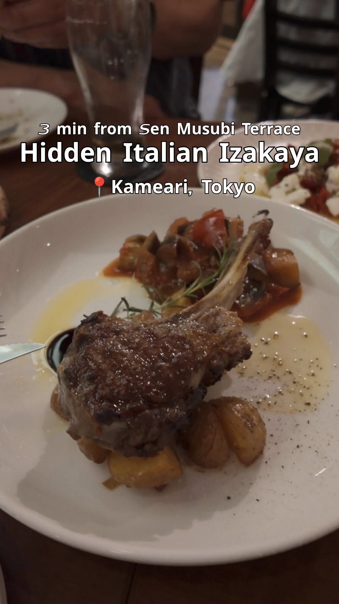 Kameari & East Tokyo Guide | Sen Musubi Terrace, Tokyo International Airport (Haneda Airport)