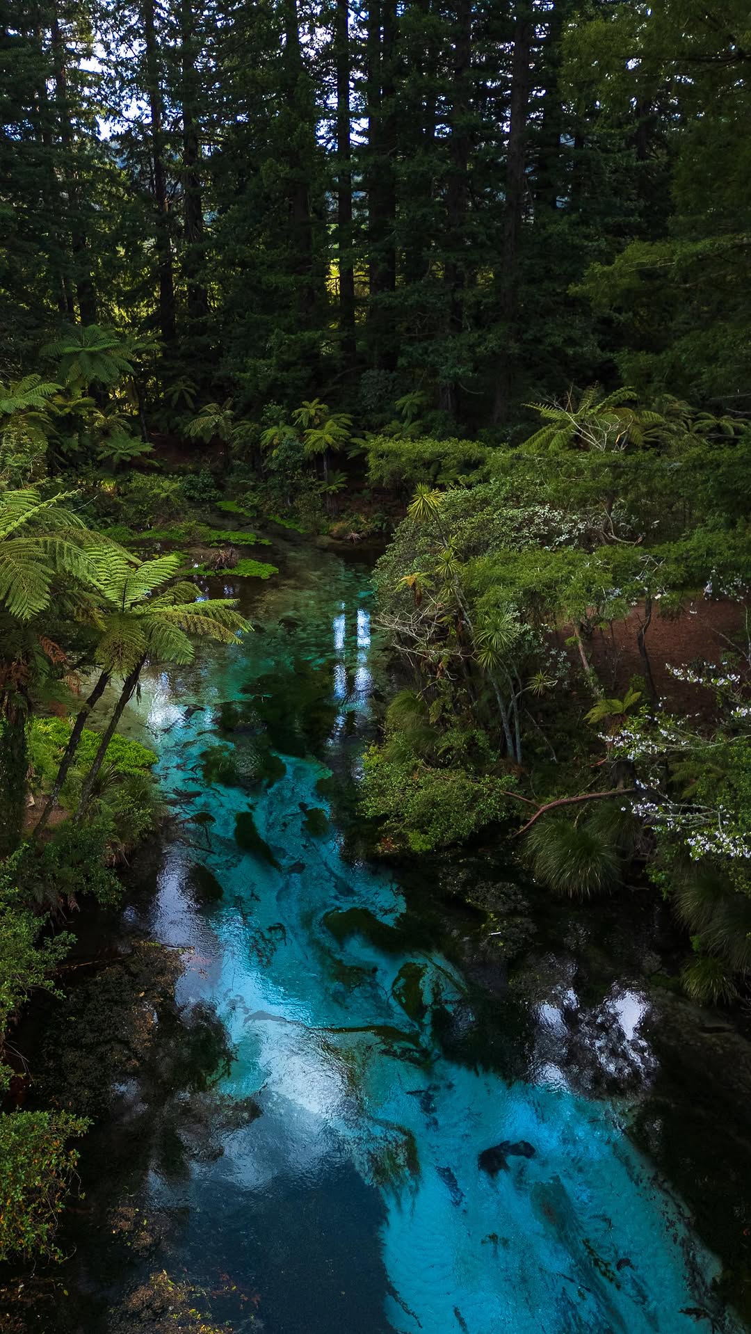 Travel & Landscape - Photography, Waiotapu Thermal Wonderland