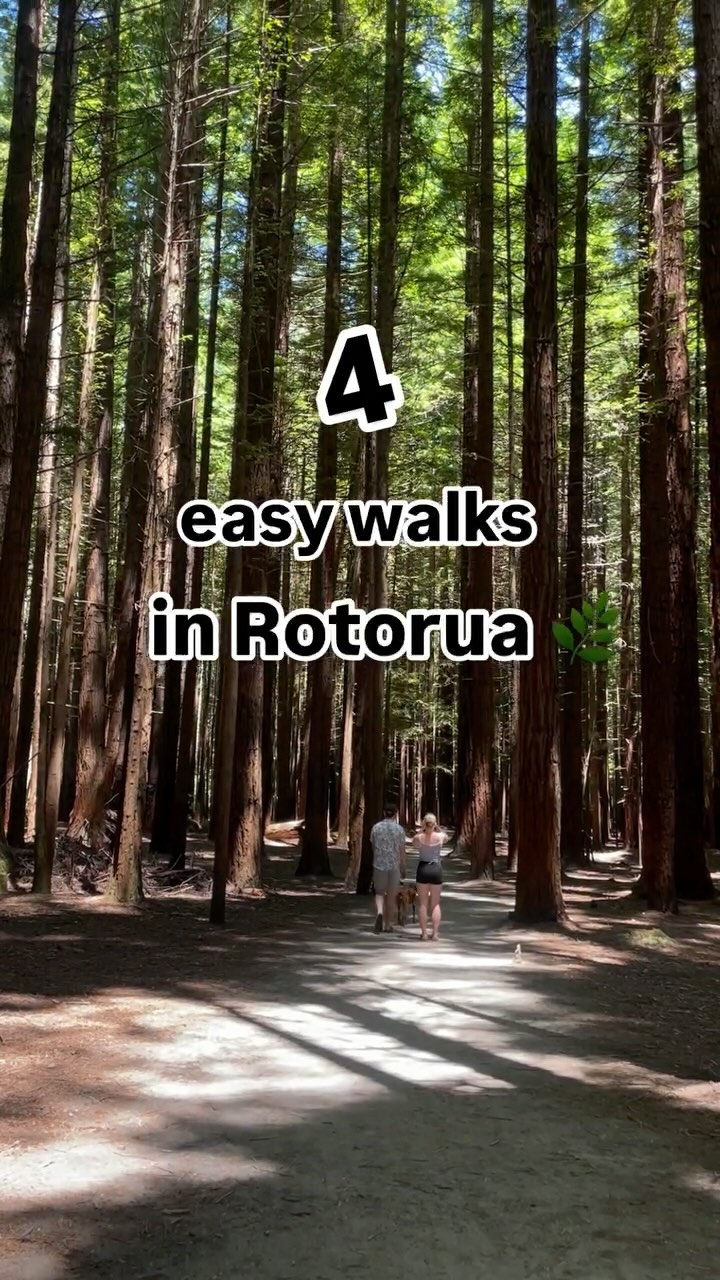 RotoruaNZ, Rotorua Lakefront Boardwalk