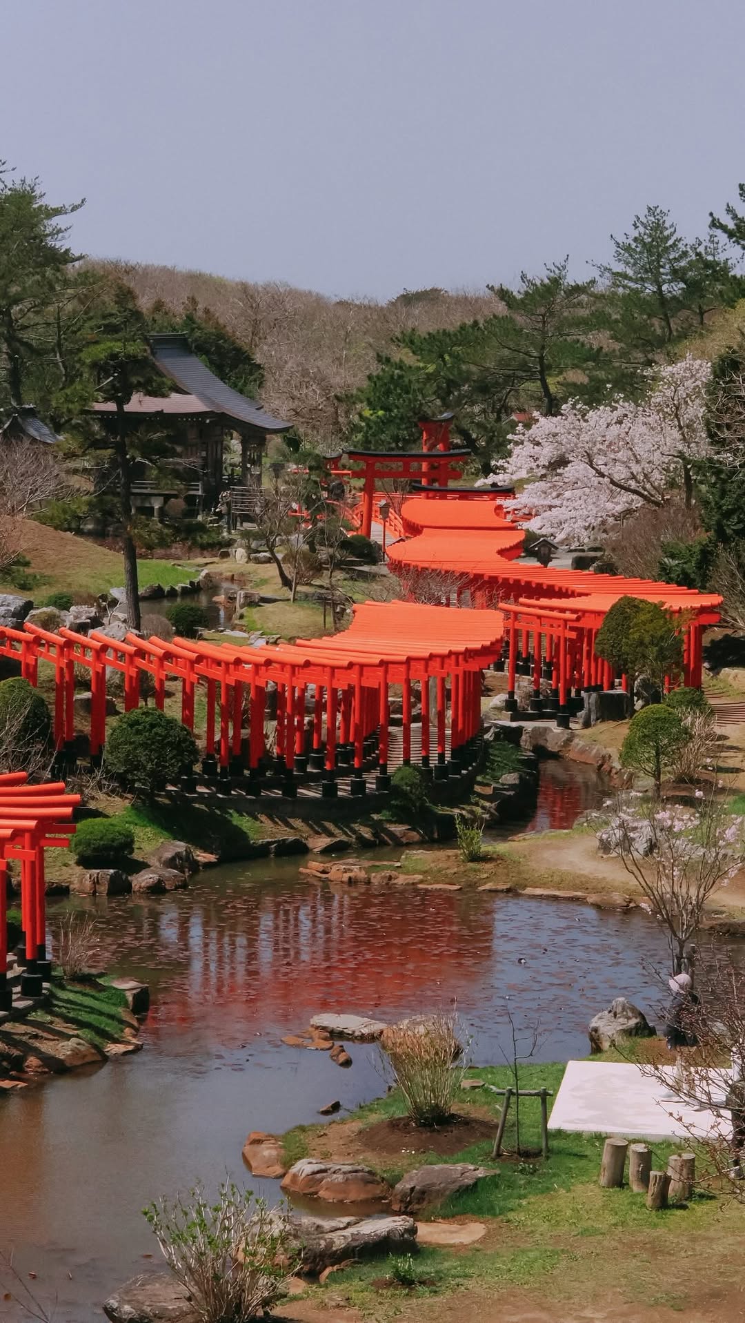Jess ~ Japan Travel, Fushimi Inari Taisha