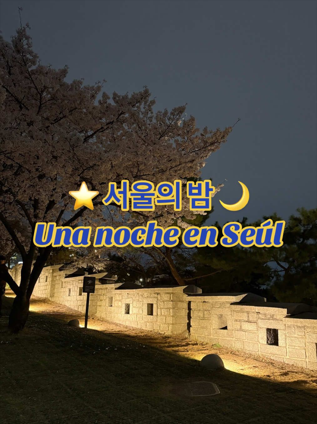 이레네 🌸 Irene, Naksan Park
