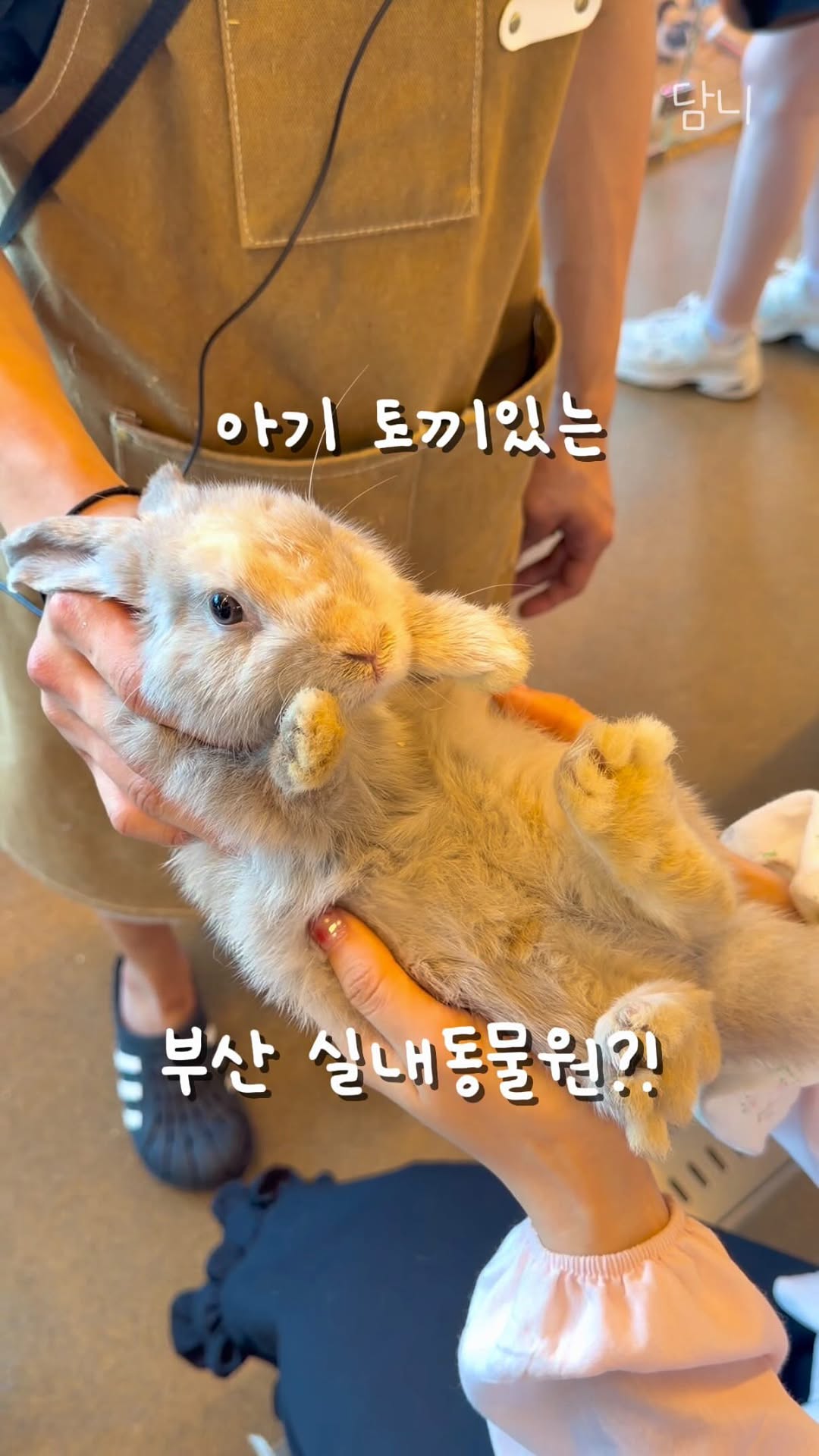 담니🧚‍♀️ 부산맛집, 부산카페 ⏽ 디저트맛집, Gwangan Bridge