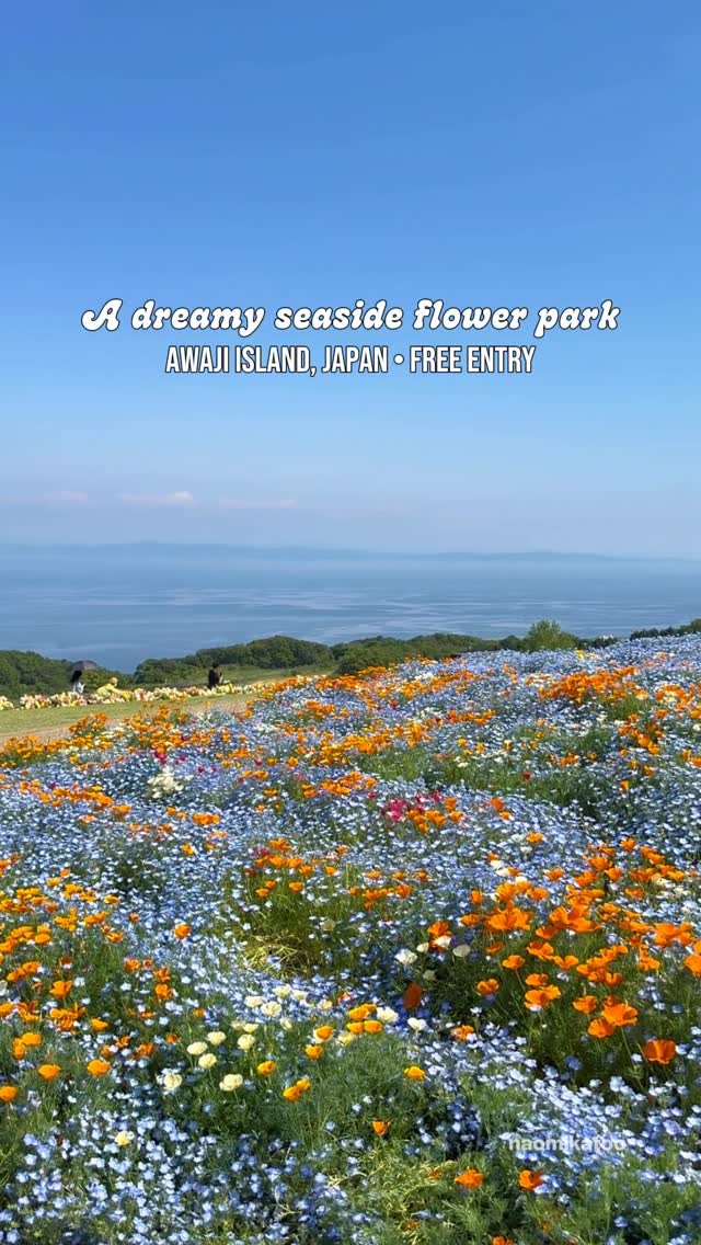 Naomi | Japan travel 🤍, Awaji Island