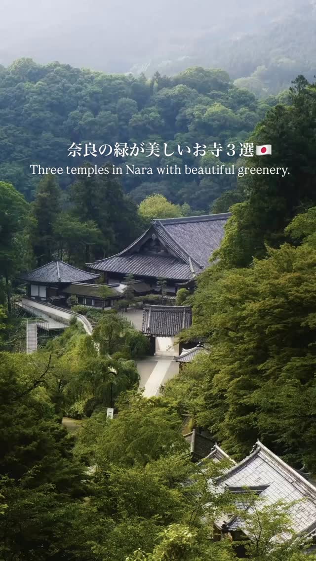 keen｜Nara Photographer, Hasedera Temple
