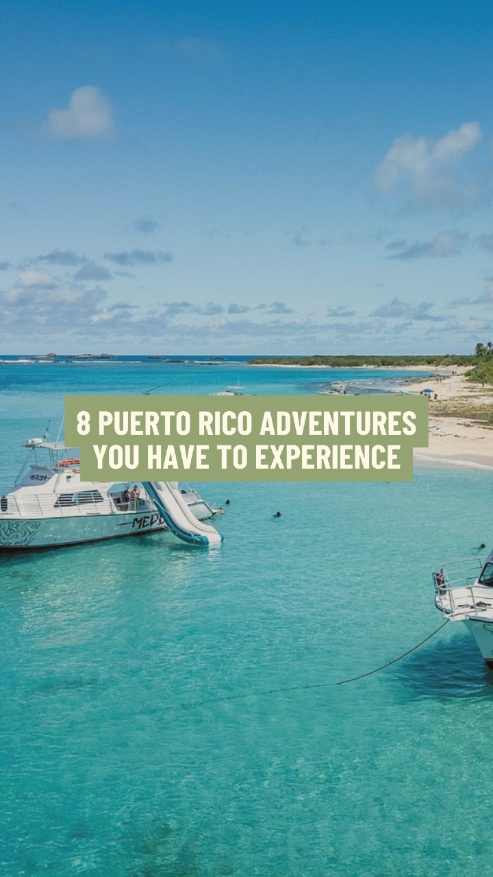 Local Living Unbound | Local & Travel Content, Casa BACARDÍ