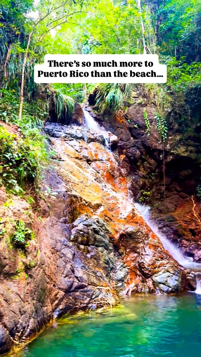 Amanda | Puerto Rico Travel, El Yunque National Forest