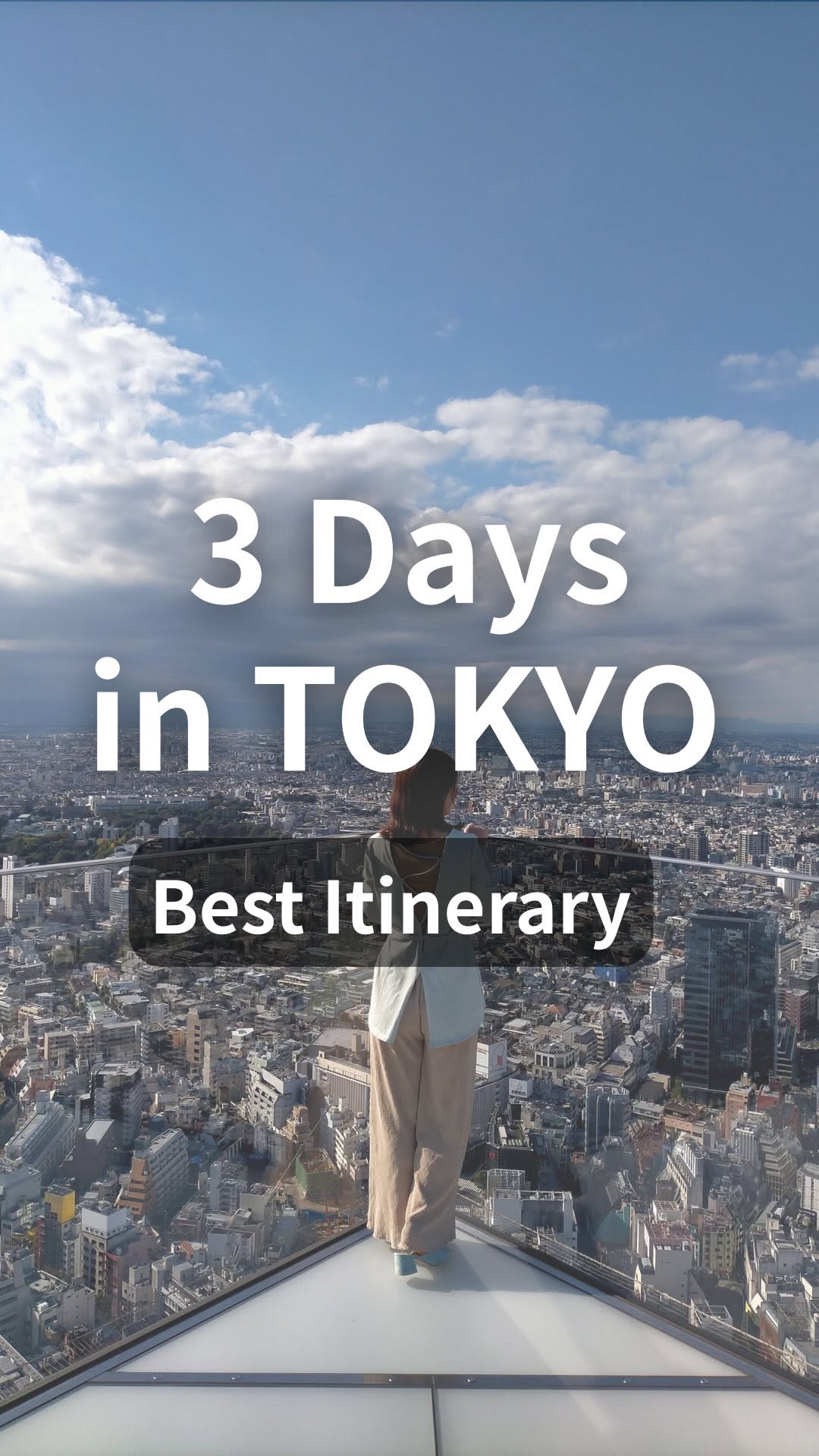 NINJA GO TOURS | Tokyo Experiences, Ginza Pedestrian Paradise