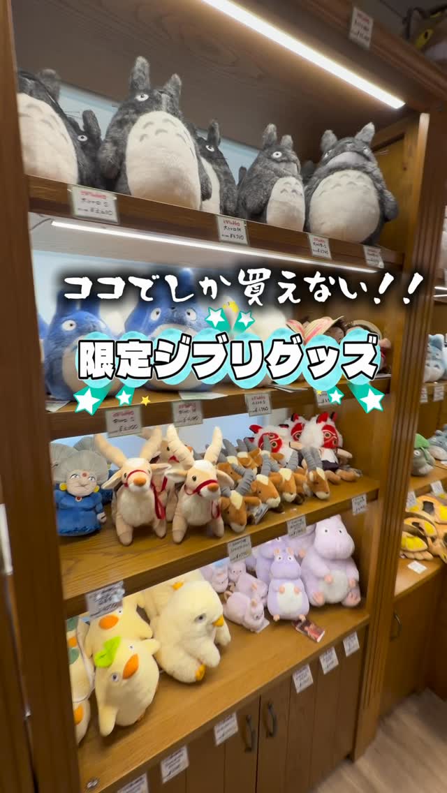 みぃみ🥜ジブリパークオタク🌿, Izu Teddy Bear Museum