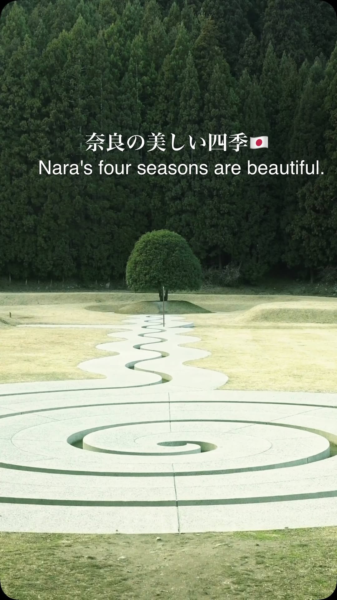 keen｜Nara Photographer, Nara Park