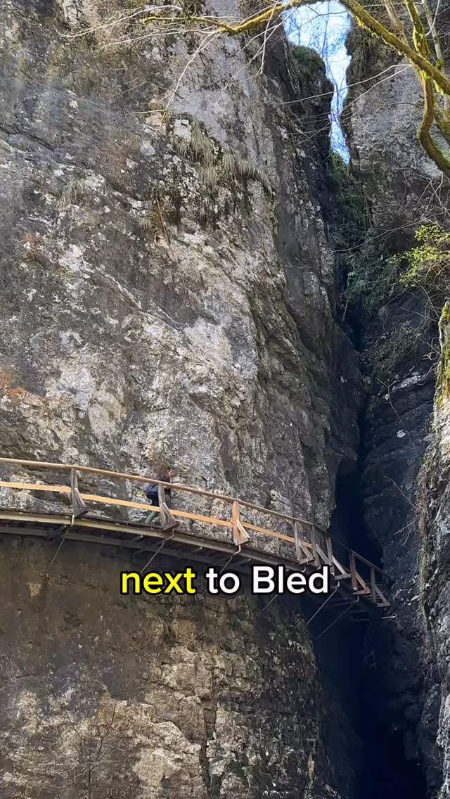Fe 🇧🇷 & Edo 🇸🇮 | Outdoor Travel, Pokljuka gorge