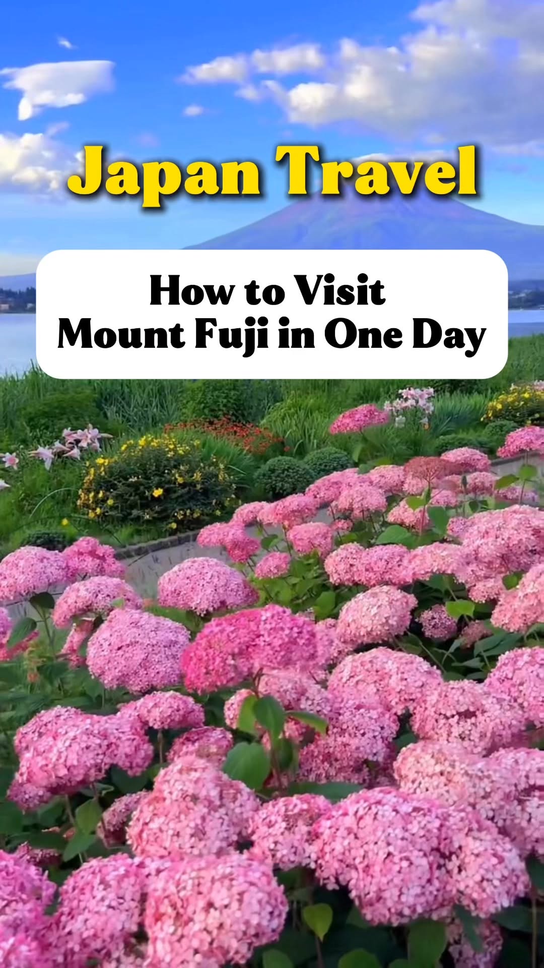 Japan Travel-Ryan, Mount Fuji