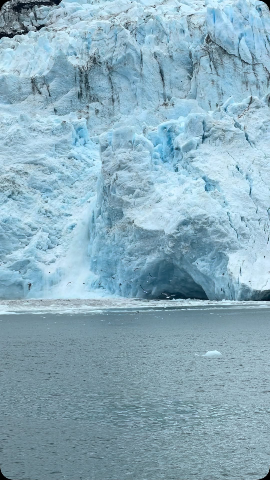 Kenai Fjords Tours, Kenai Fjords National Park