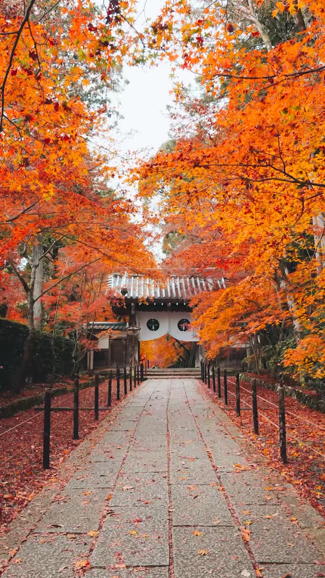 Shohei Sakae, Kiyomizu-dera