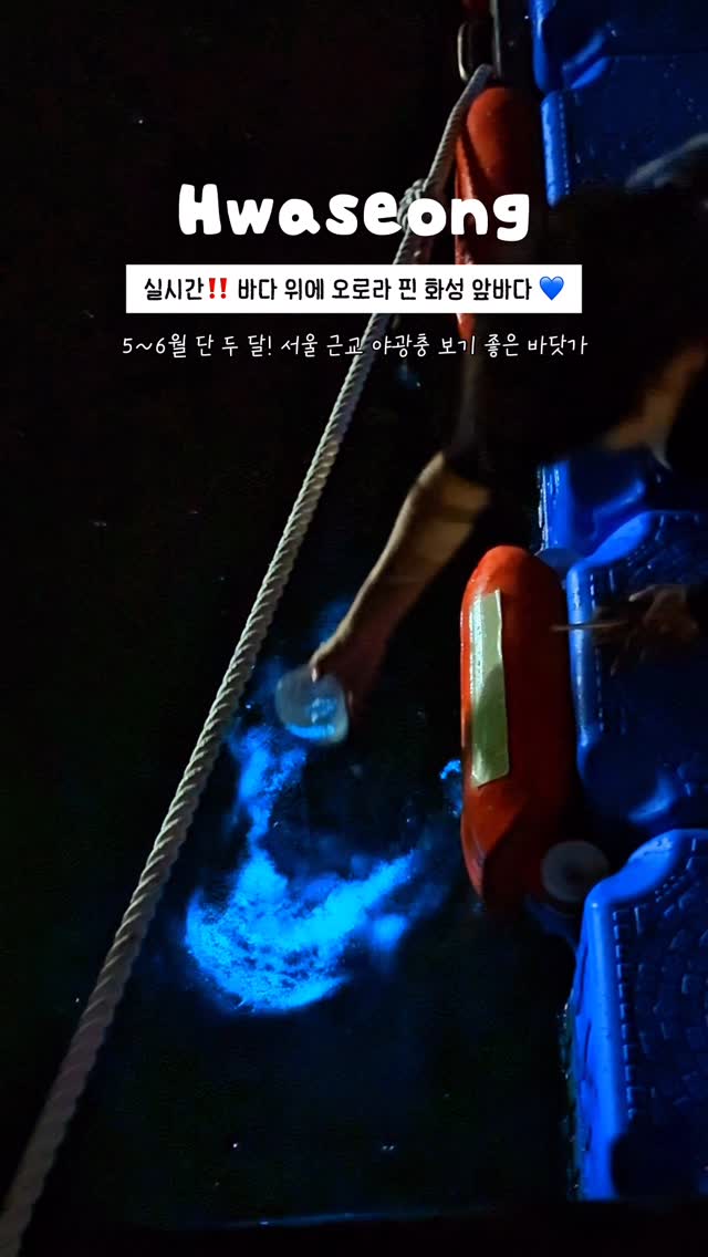 원더풀데이 | 이번 주 가볼만한 국내여행지, 궁평항선착장
