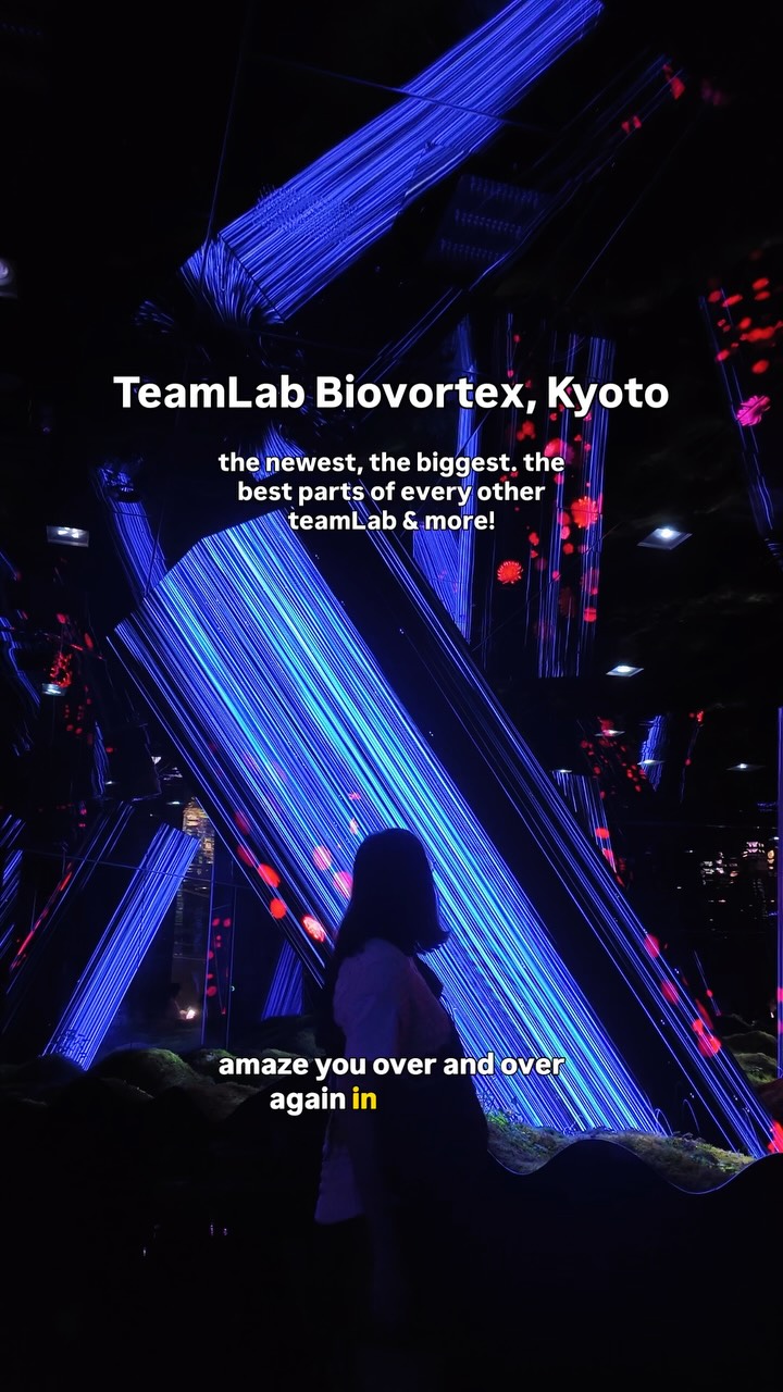 Natascha | solo female travel with anxiety, teamLab Borderless: MORI Building DIGITAL ART MUSEUM