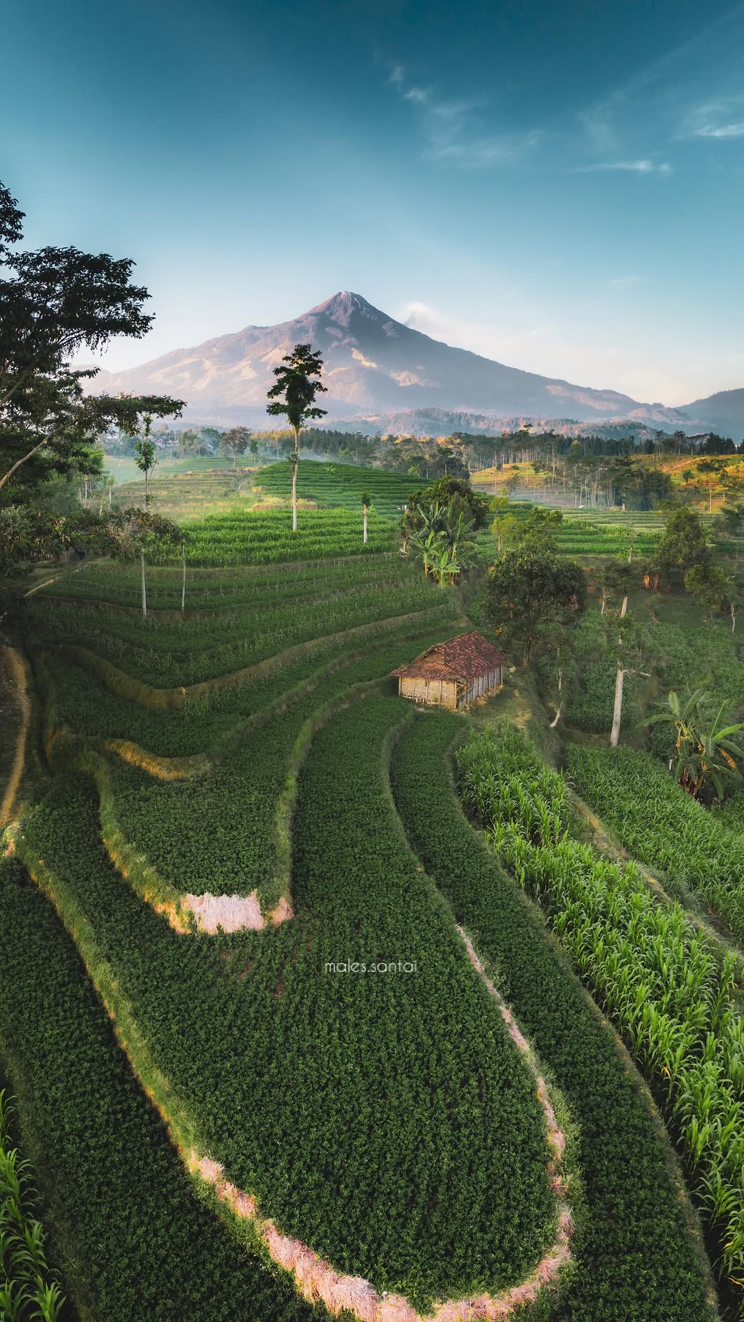 Hary Mulyono | Fotografer, Ubud
