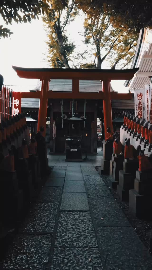 Paul - Nakryum, Tokyo Tower