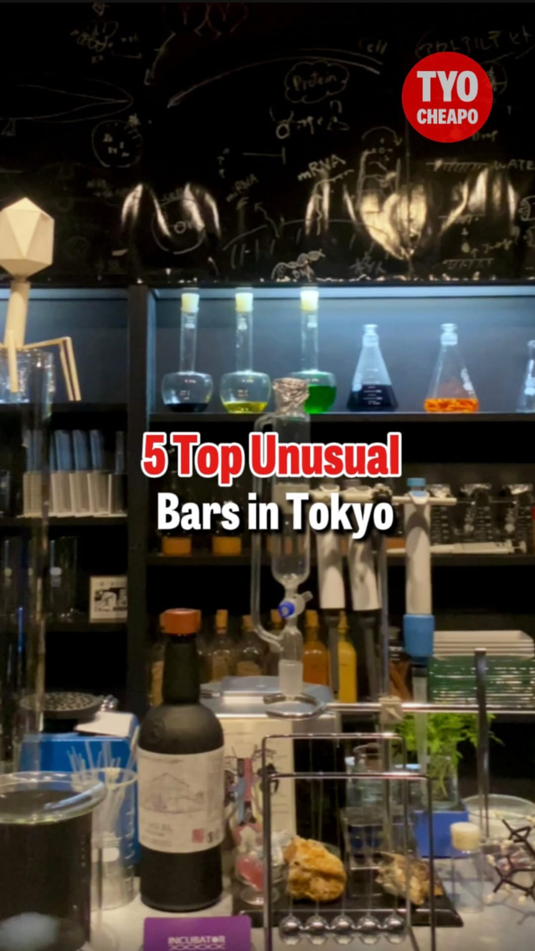 Tokyo Cheapo, Kiha