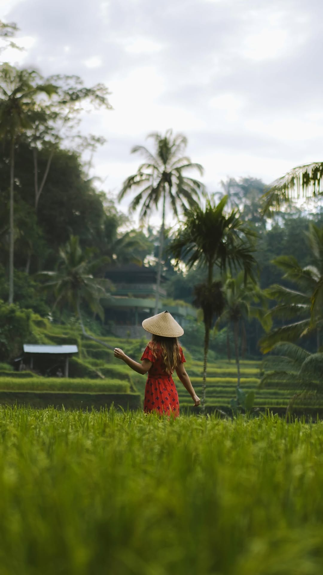 Margarida & Daniel, Sacred Monkey Forest Sanctuary